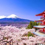 The Smartest Steps For Your Japan Tour This Year