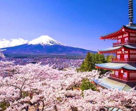 The Smartest Steps For Your Japan Tour This Year